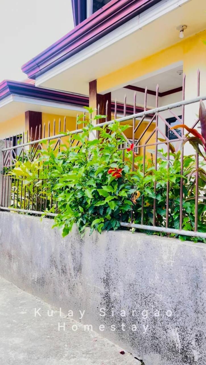 Ameeza Houze Homestay - Siargao General Luna (Surigao del Norte) Exterior foto
